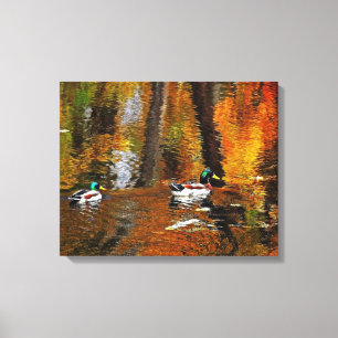 Mallard Ducks On Autumn Colours Canvas Print