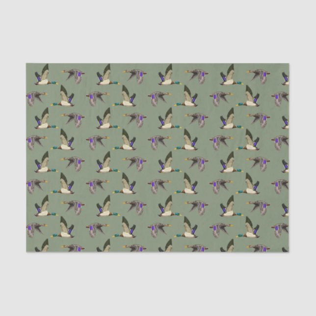 Mallard ducks on green tissue paper (Front)