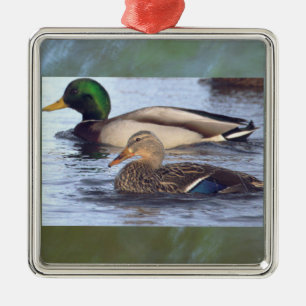 Mallard Ducks Ornament