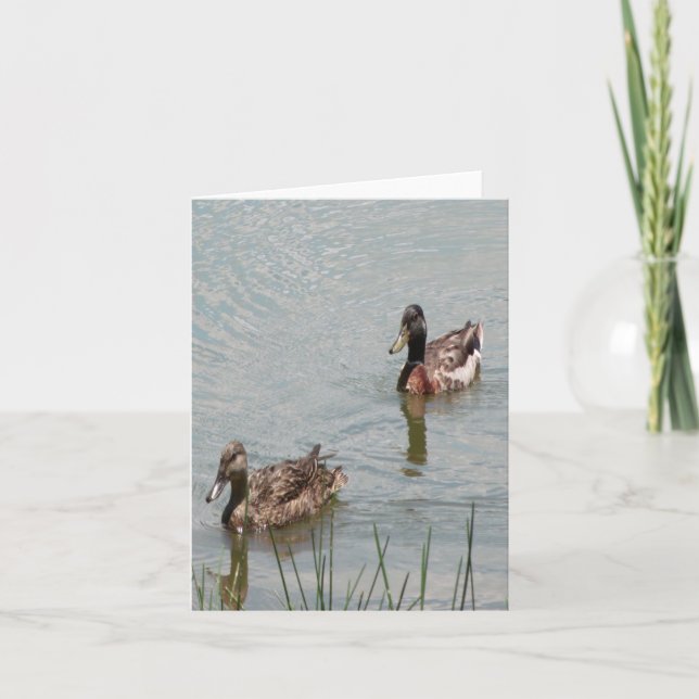 Mallard Ducks Photo Folded Note Card (Front)