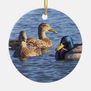 Mallard Ducks Photo Ornament