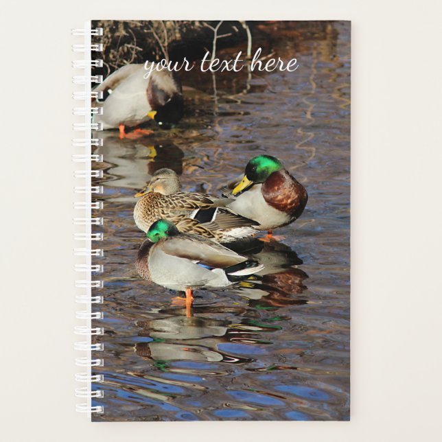Mallard Ducks Planner (Front)
