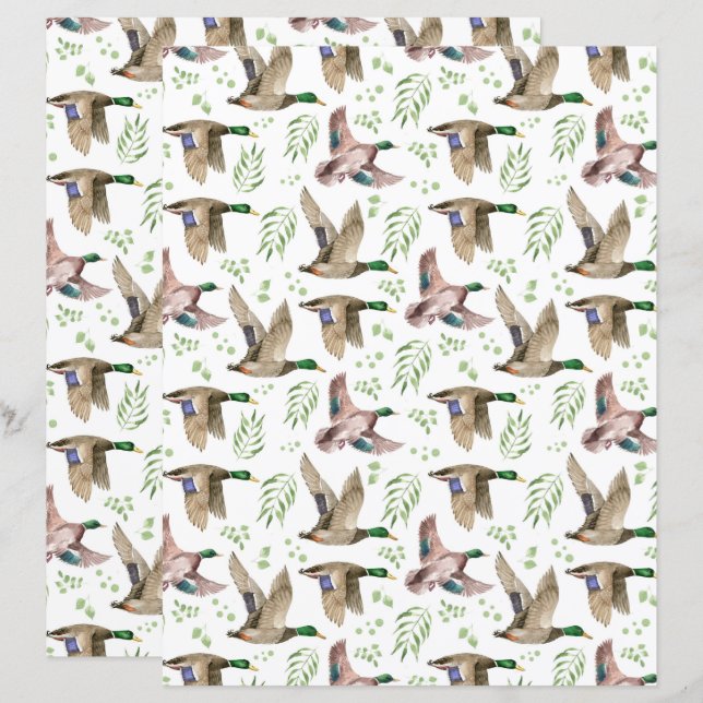 Mallard Ducks Scrapbook Paper (Front/Back)