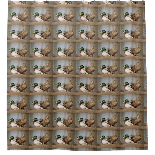 Mallard Ducks Shower Curtain (Front)