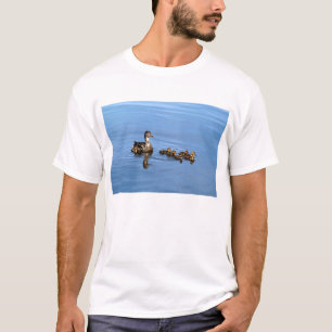 Mallard ducks T-Shirt