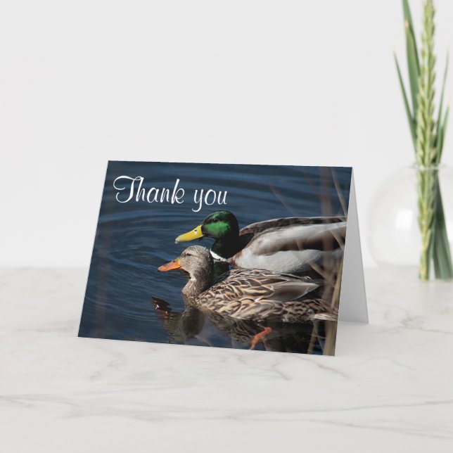 Mallard ducks thank you card (Front)