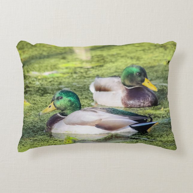 Mallard Ducks Throw Pillow (Front)
