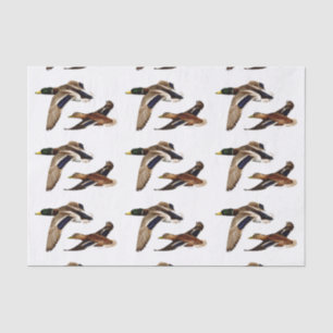 Mallard Ducks U-Pick Background Colour Tissue Paper