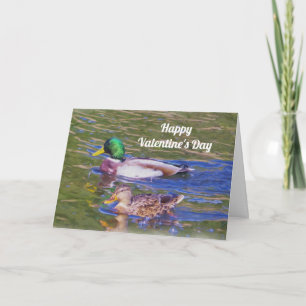 Mallard Ducks Valentine's Day Holiday Card