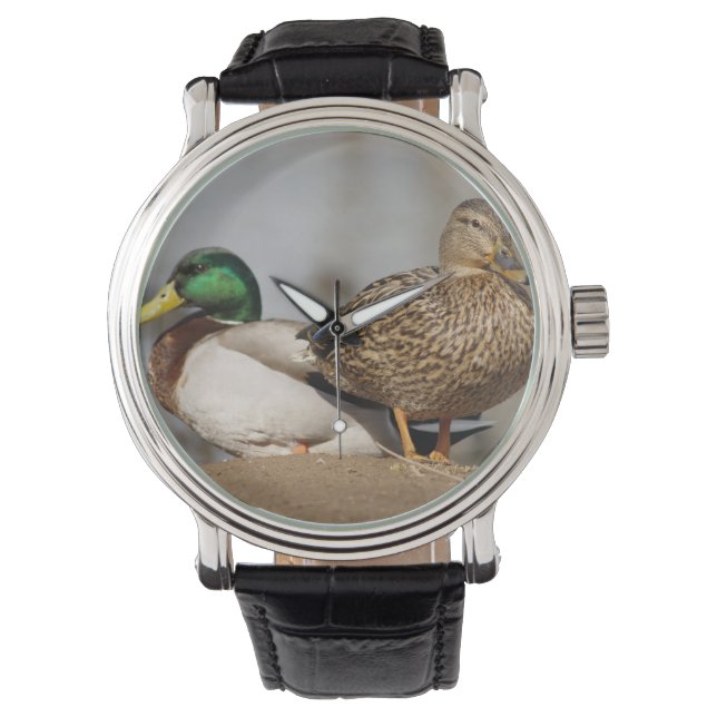 Mallard Ducks Watch (Front)