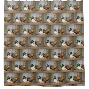 Mallard Ducks Waterfowl Shower Curtain