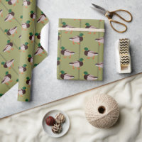 Mallard Ducks with Olive Green Stripes
