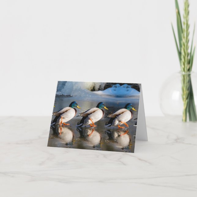 MALLARD Folded Note Card IN WINTER (Front)
