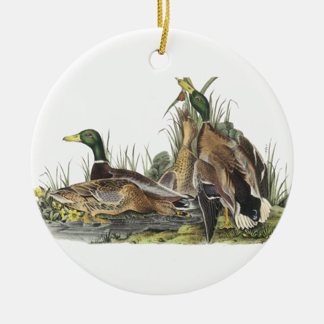 Mallard, John Audubon Ceramic Tree Decoration (Front)