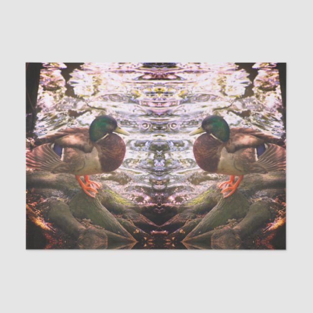 Mallard Mirror Tissue Paper (Front)