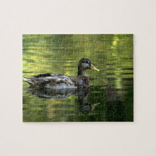 Mallard Mirrored On Green Water Jigsaw Puzzle