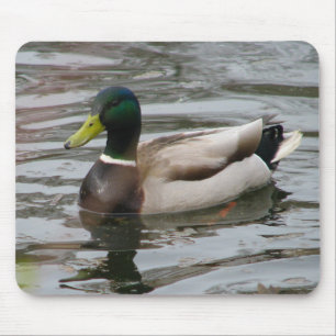 Mallard Mouse Mat