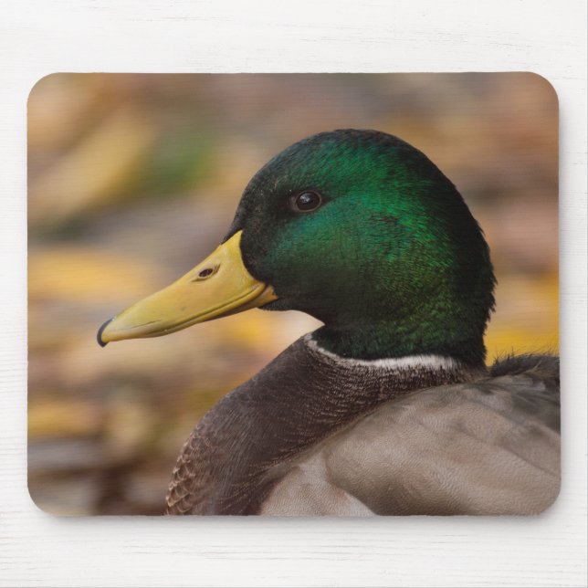 Mallard Mouse Mat (Front)