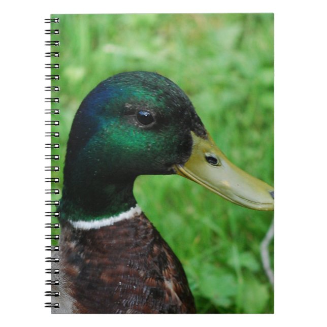 Mallard  Notebook (Front)