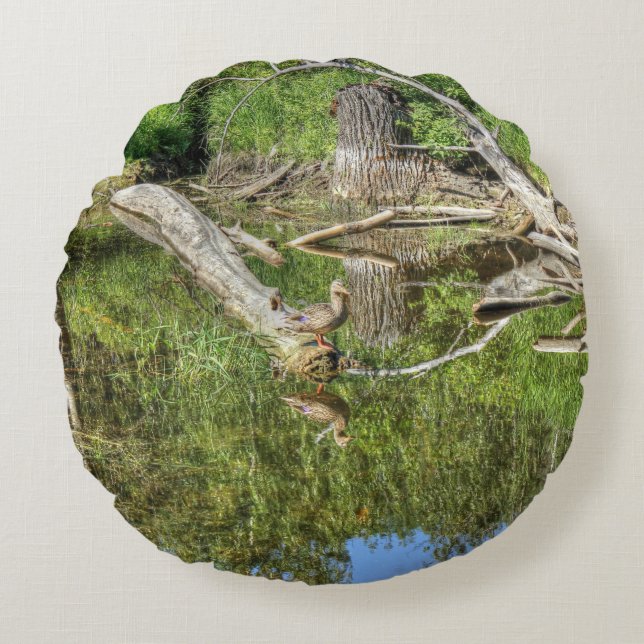 Mallard on Pond Round Cushion (Front)