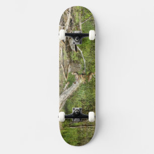 Mallard on Pond Skateboard