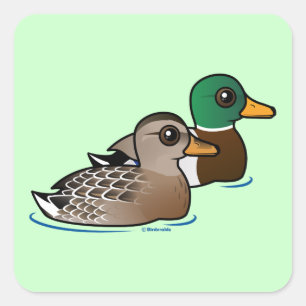 Mallard Pair Square Sticker
