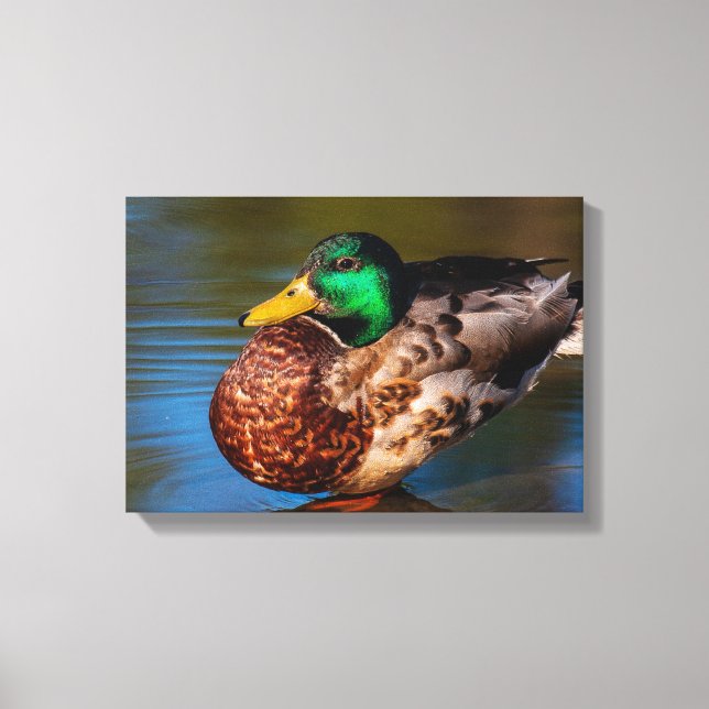 Mallard Portrait Canvas Print (Front)