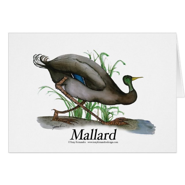 mallard, tony fernandes (Front Horizontal)