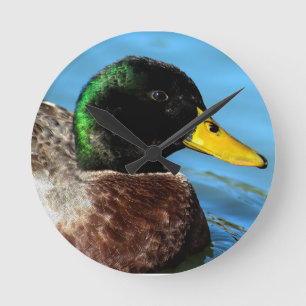 Mallard Up Close Round Clock