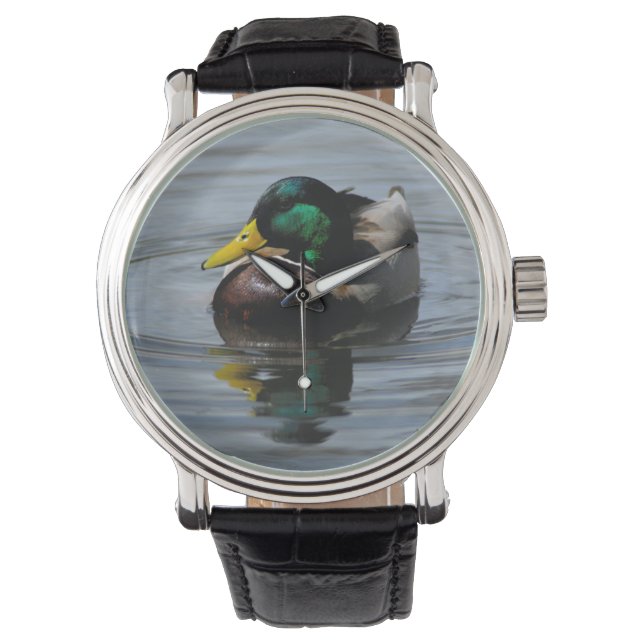 Mallard Watch (Front)