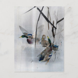 Mallards and Reeds, Watanabe Seitei Postcard