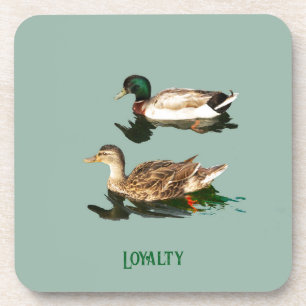 Mallards Coaster