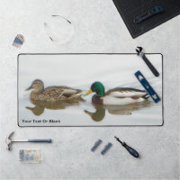 Mallards