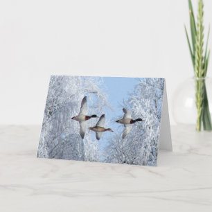 MALLARDS DUCK Note Card