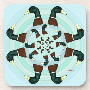 Mallards Galore! Coaster