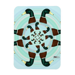 Mallards Galore! Magnet