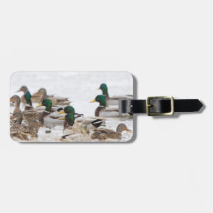 Mallards in wetland in winter luggage tag