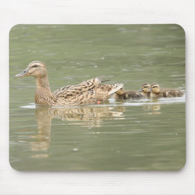 Mallards Mouse Mat (Front)