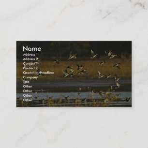 Mallards rising from water business card