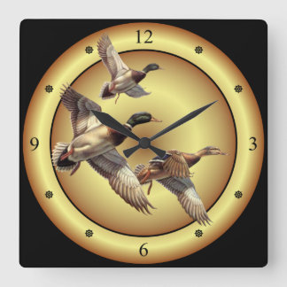 Mallards ~ Wild Ducks ~ Anas platyrhynchos ~ Square Wall Clock
