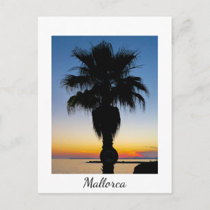 Mallorca Palm Tree in the Sunset Postcard