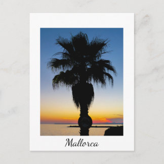 Mallorca Palm Tree in the Sunset Postcard