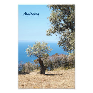 Mallorca Photo Print