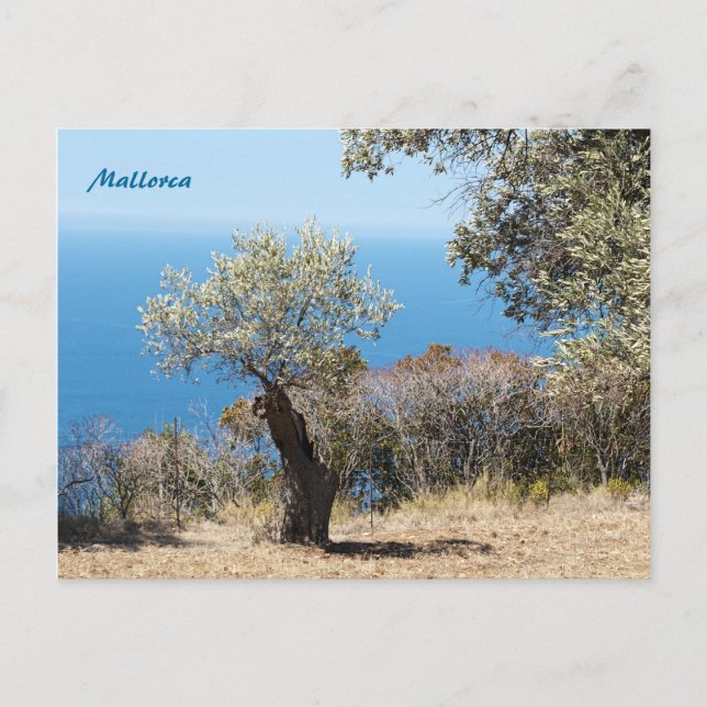 Mallorca Post Cards (Front)