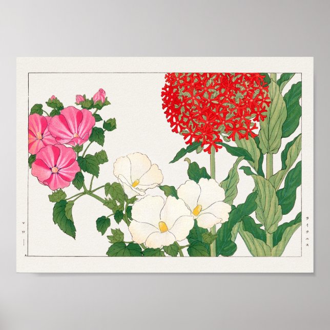 Mallow, Centranthus by Tanigami Konan Poster (Front)