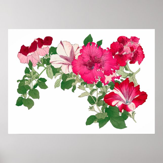Mallow flower , vintage Japanese art Poster (Front)