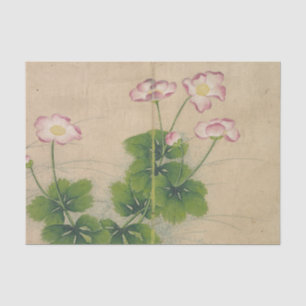 Mallow Flowers by Zhang Ruoai Tissue Paper