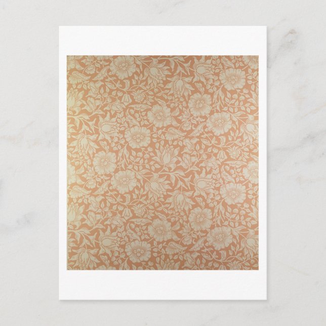 'Mallow' wallpaper design Postcard (Front)