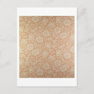 'Mallow' wallpaper design Postcard