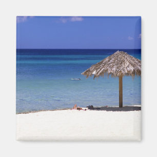 Malmok Beach, Aruba, Netherlands Antilles Magnet